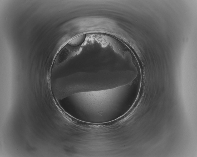 X0000116861529200912221128