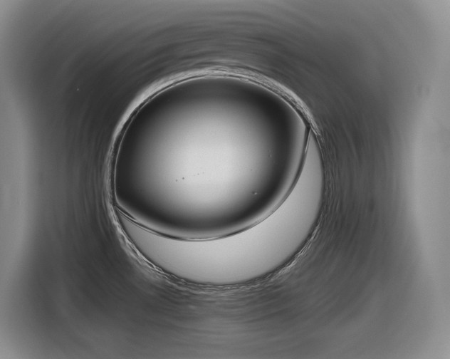 X0000116861530200912221128