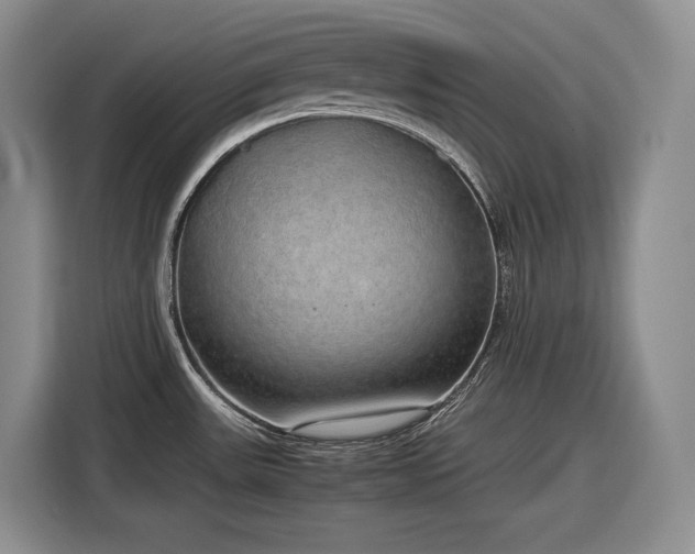 X0000116861531200912221128