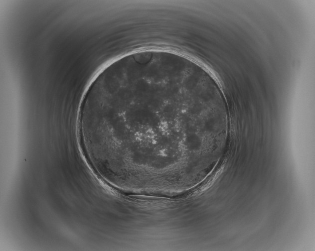 X0000116861533200912221128