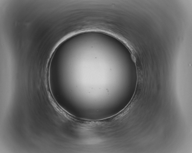X0000116861534200912221128
