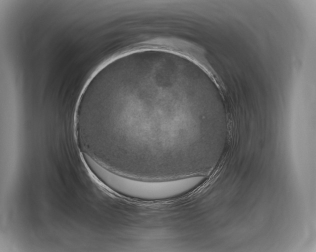 X0000116861535200912221128