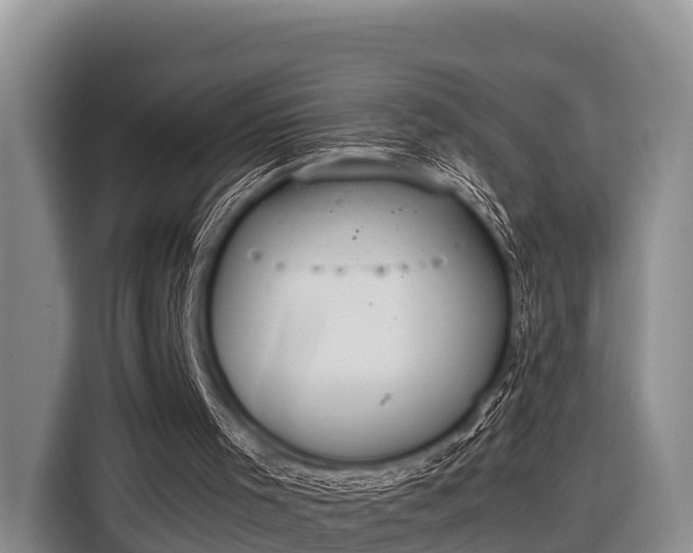 X0000116860001200912291309