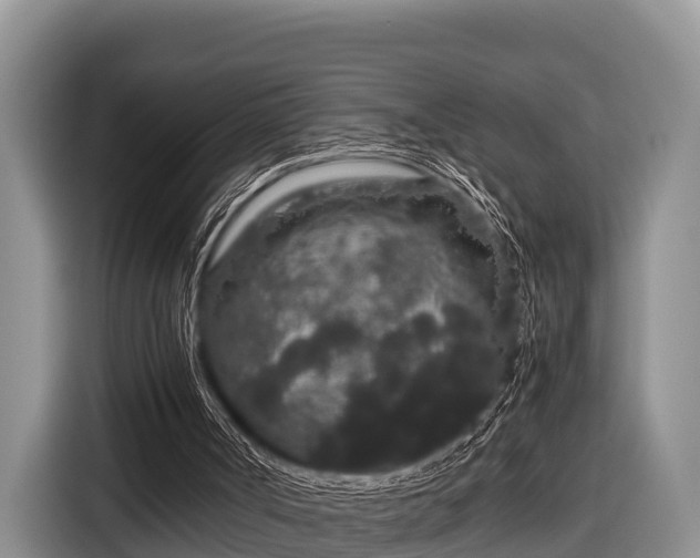 X0000116860002200912291309