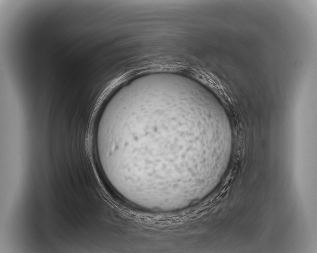 X0000116860003200912291309