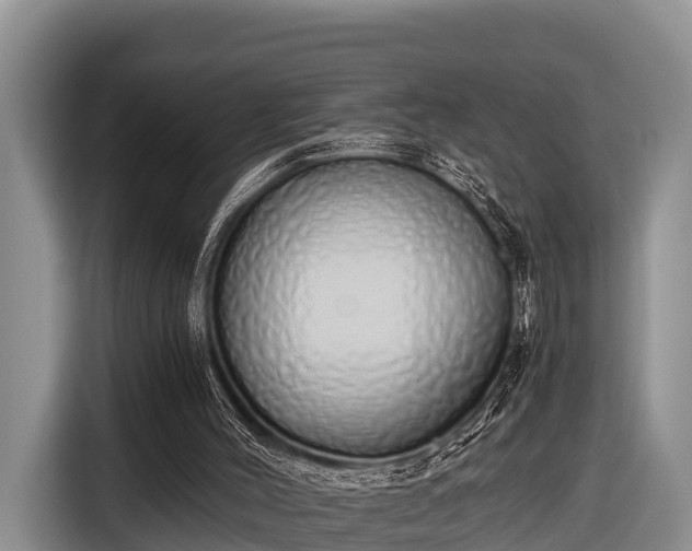 X0000116860004200912291309