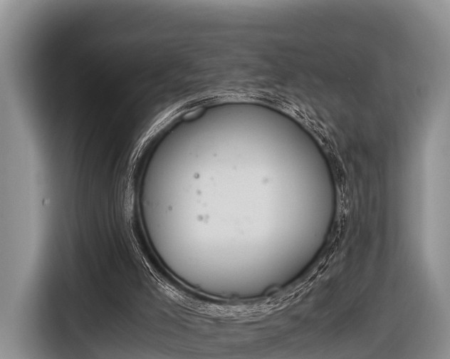 X0000116860005200912291309