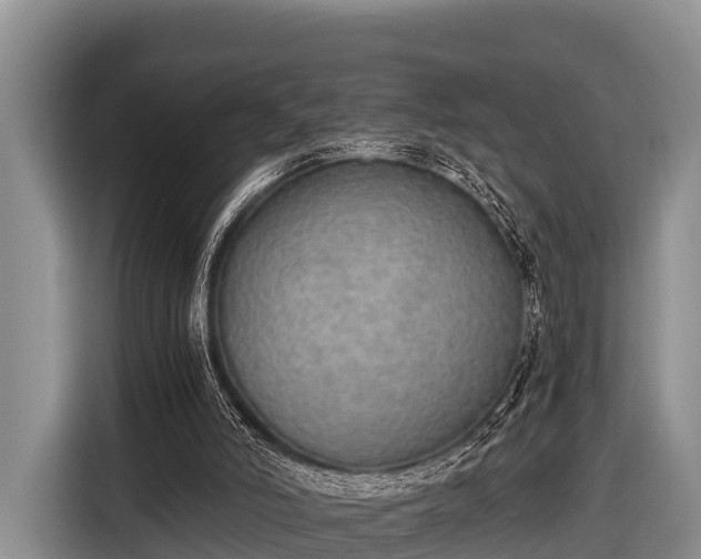 X0000116860006200912291309