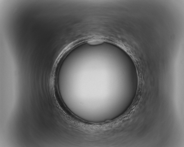 X0000116860007200912291309