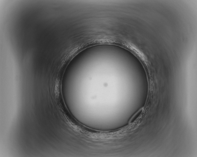 X0000116860009200912291309