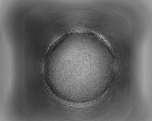 X0000116860010200912291309