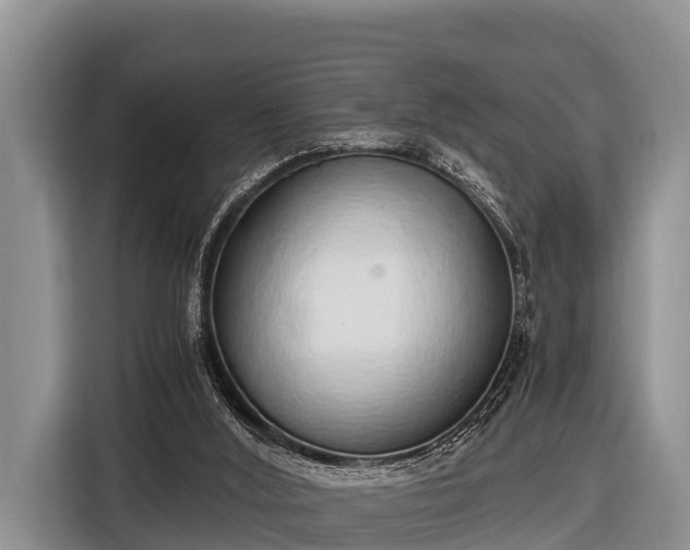 X0000116860012200912291309