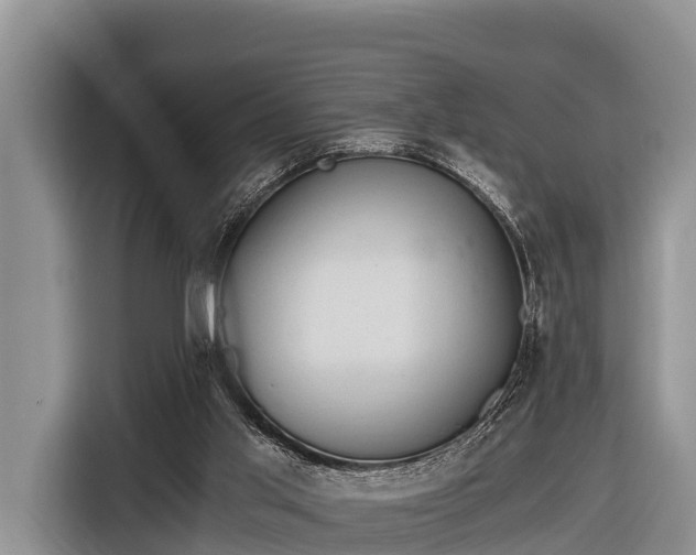 X0000116860013200912291309