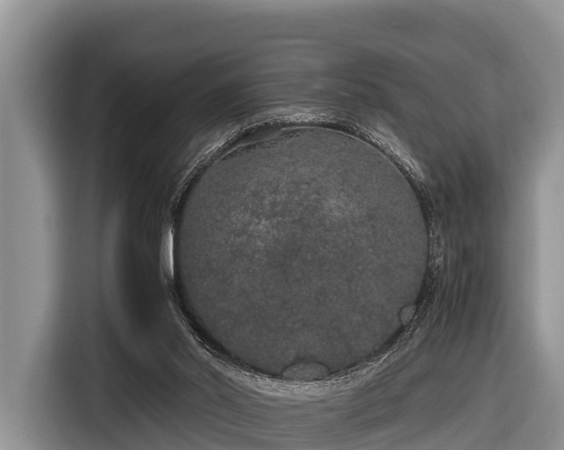 X0000116860014200912291309