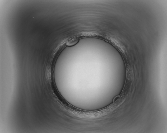 X0000116860015200912291309