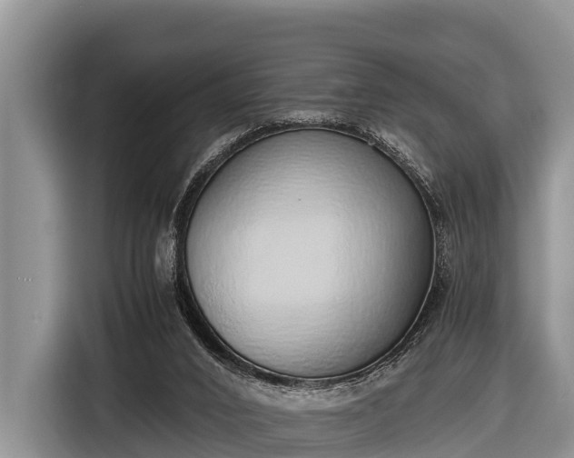 X0000116860016200912291309