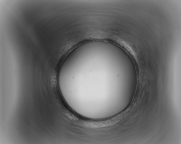 X0000116860017200912291309