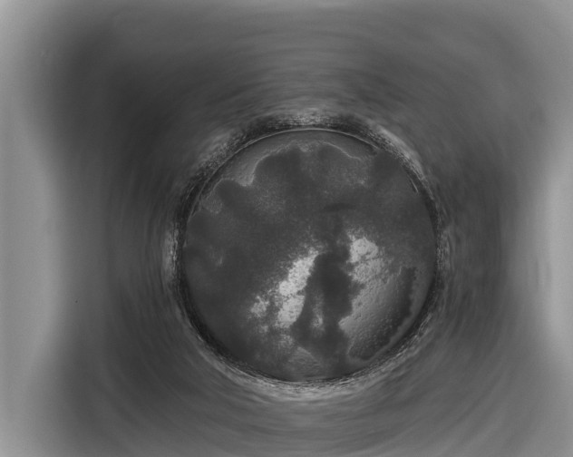 X0000116860018200912291309