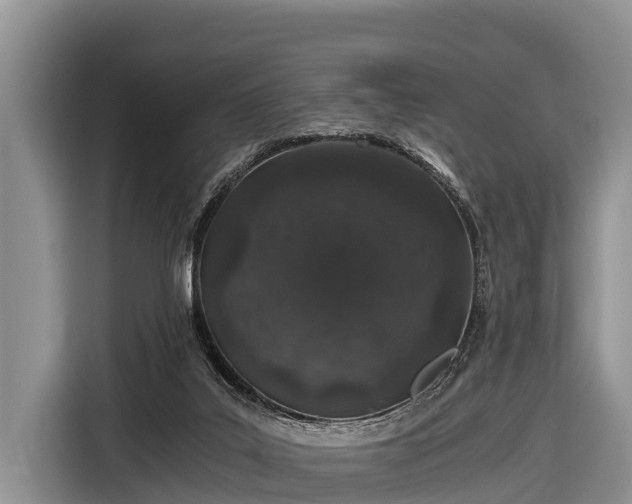 X0000116860019200912291309