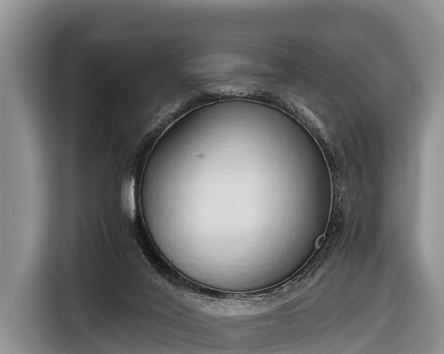 X0000116860020200912291309