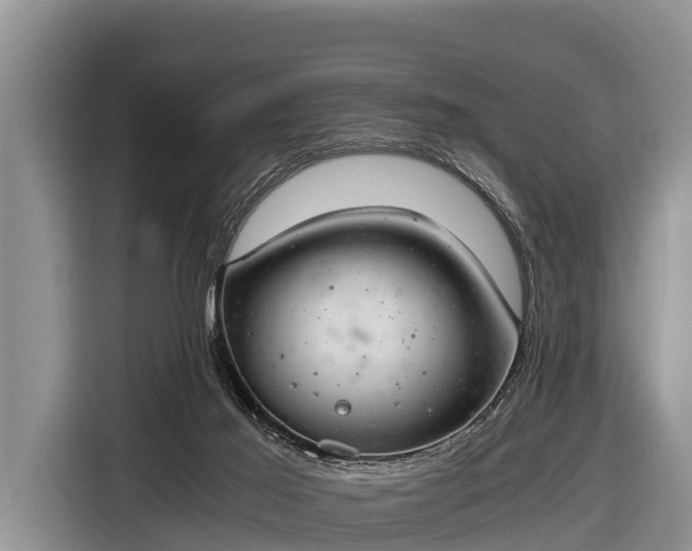 X0000116860021200912291309