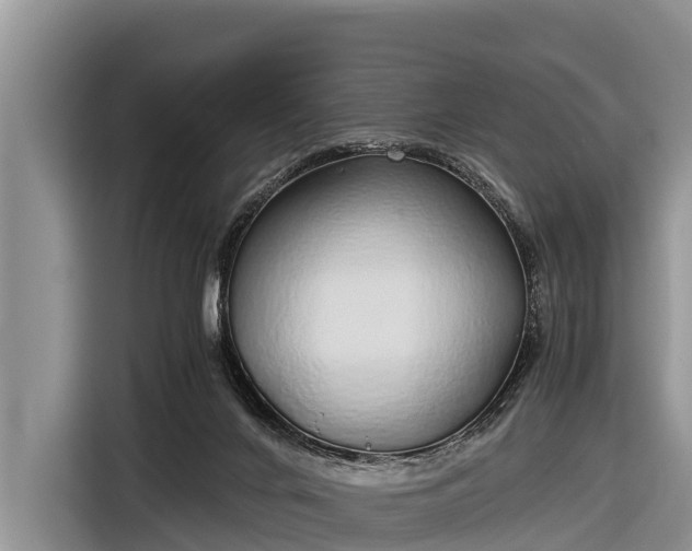 X0000116860024200912291309