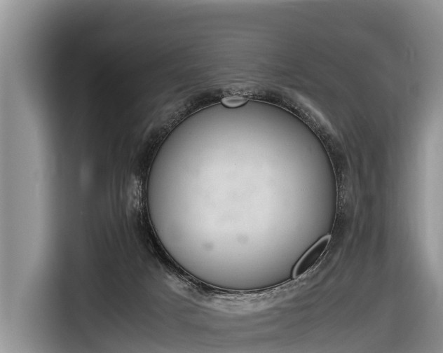 X0000116860025200912291309