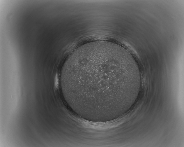 X0000116860026200912291309