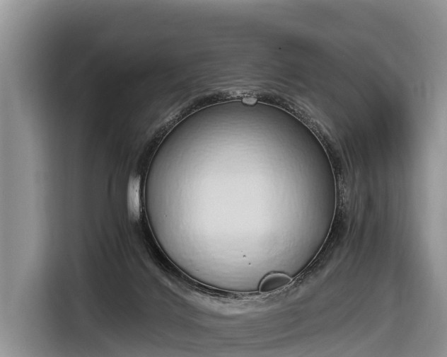 X0000116860028200912291308