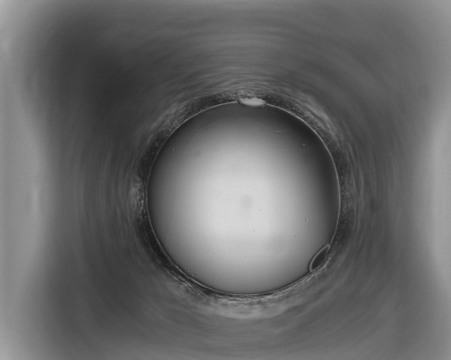 X0000116860029200912291308