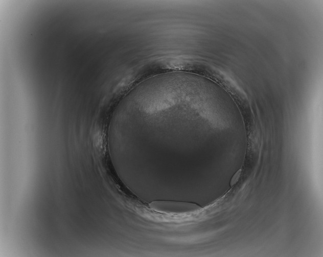 X0000116860031200912291308