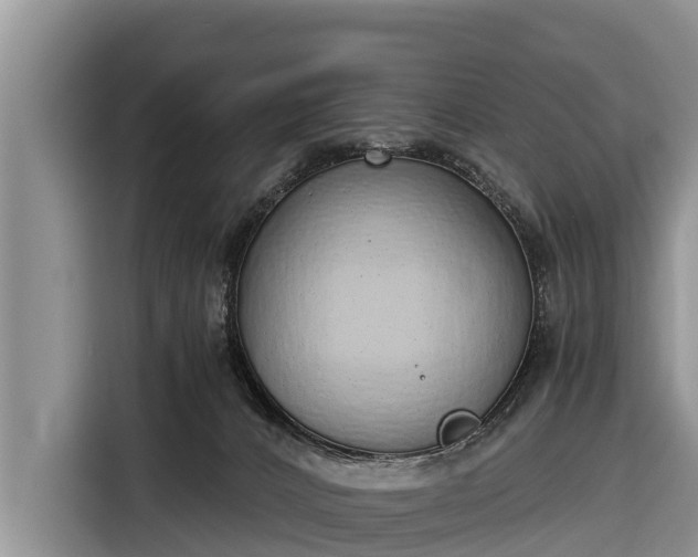 X0000116860032200912291308