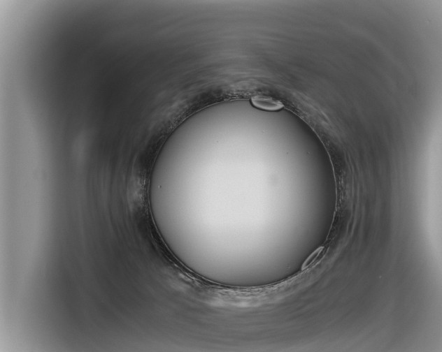 X0000116860033200912291308