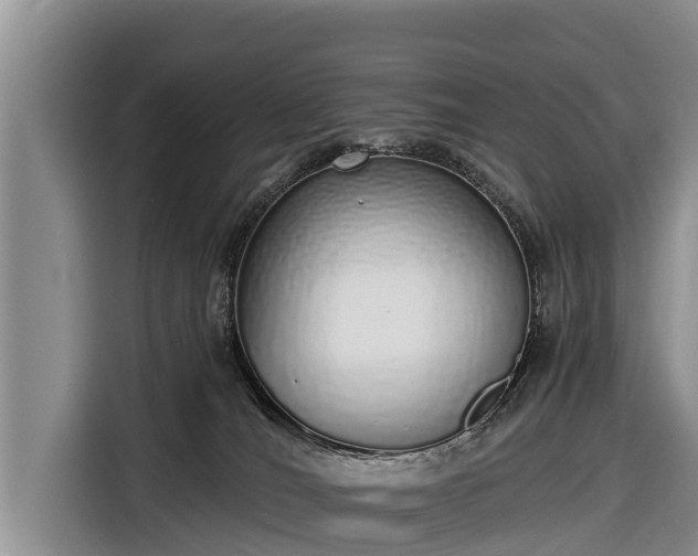 X0000116860036200912291308