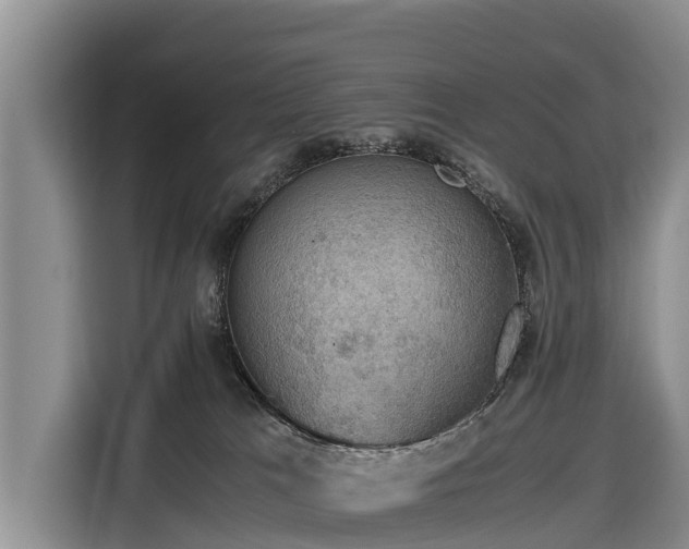 X0000116860037200912291308