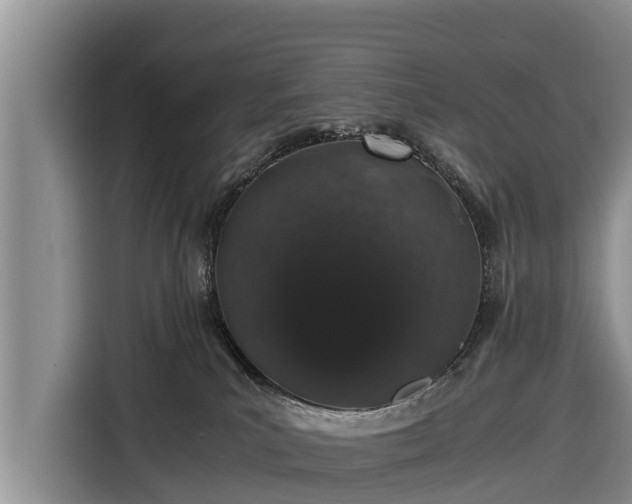 X0000116860039200912291308