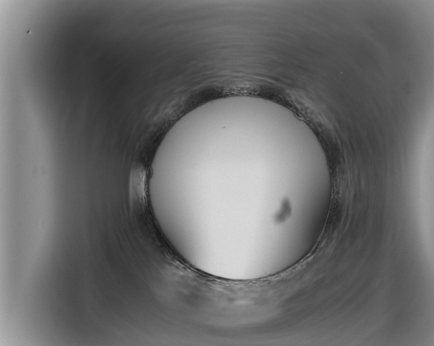 X0000116860041200912291308