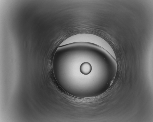 X0000116860043200912291308