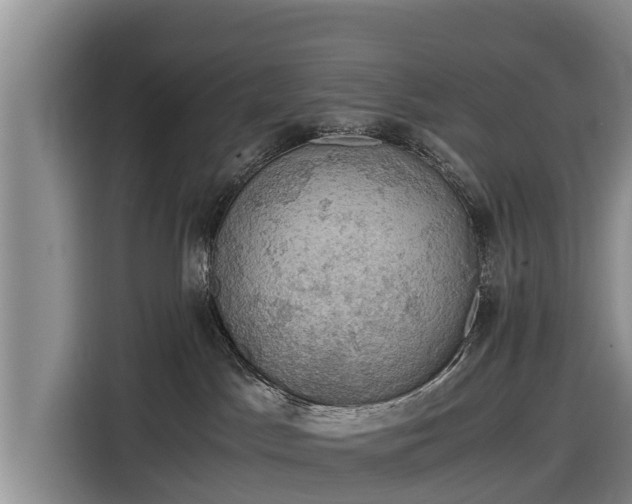 X0000116860045200912291308