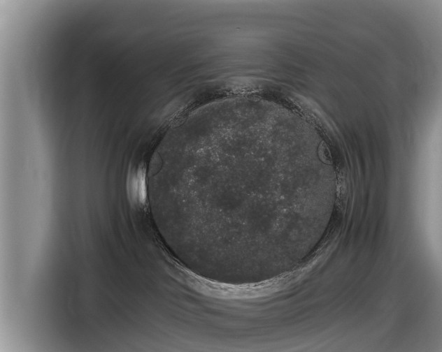 X0000116860046200912291308