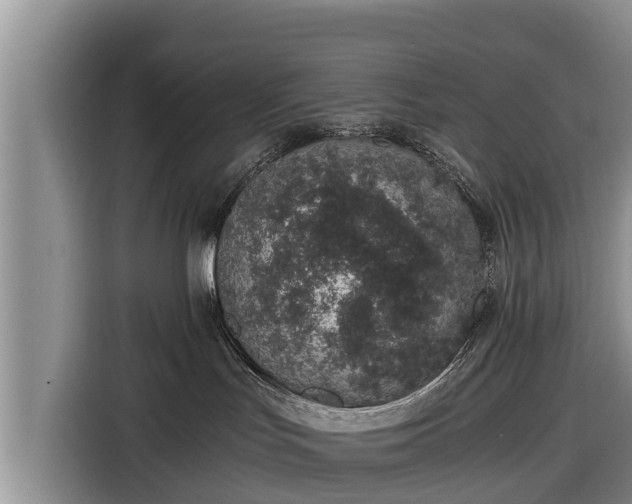 X0000116860047200912291308