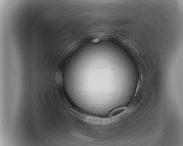 X0000116860048200912291308