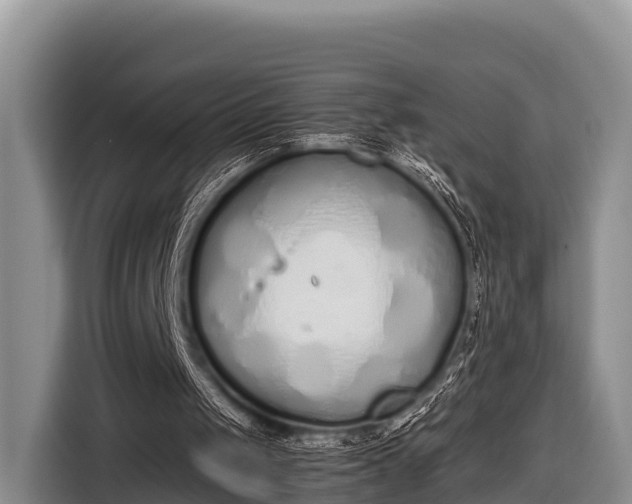 X0000116860049200912291308