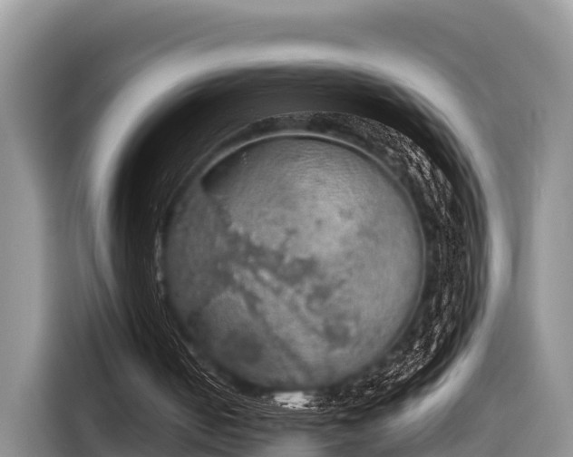 X0000116860050200912291308