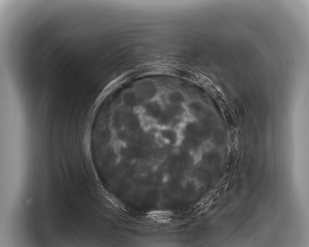 X0000116860051200912291308