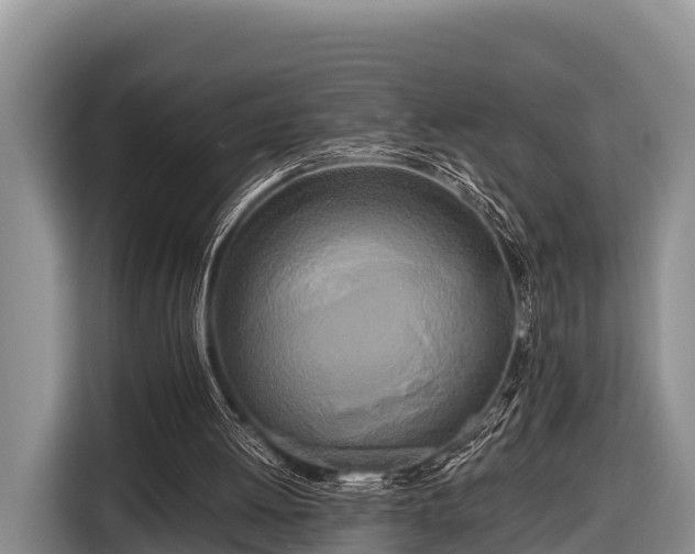 X0000116860052200912291308