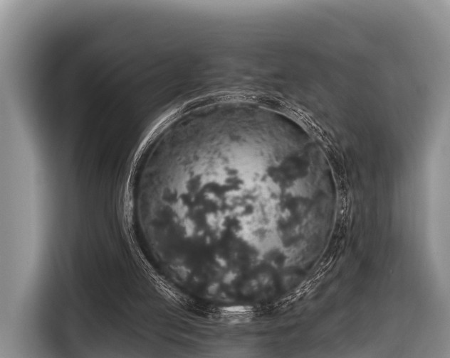 X0000116860053200912291308