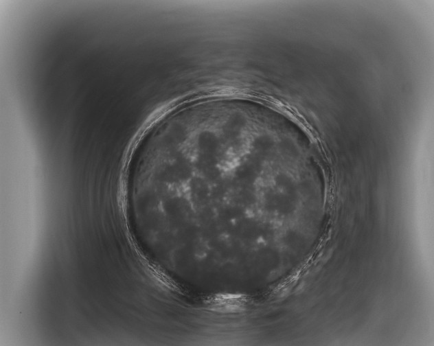 X0000116860055200912291308