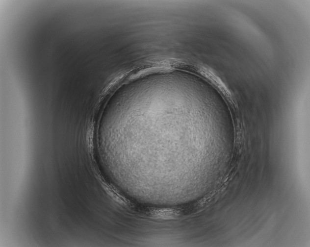 X0000116860058200912291308