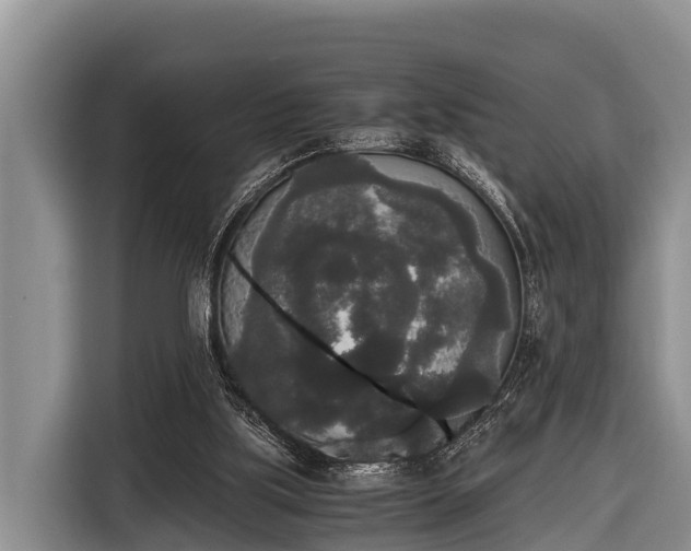 X0000116860059200912291308